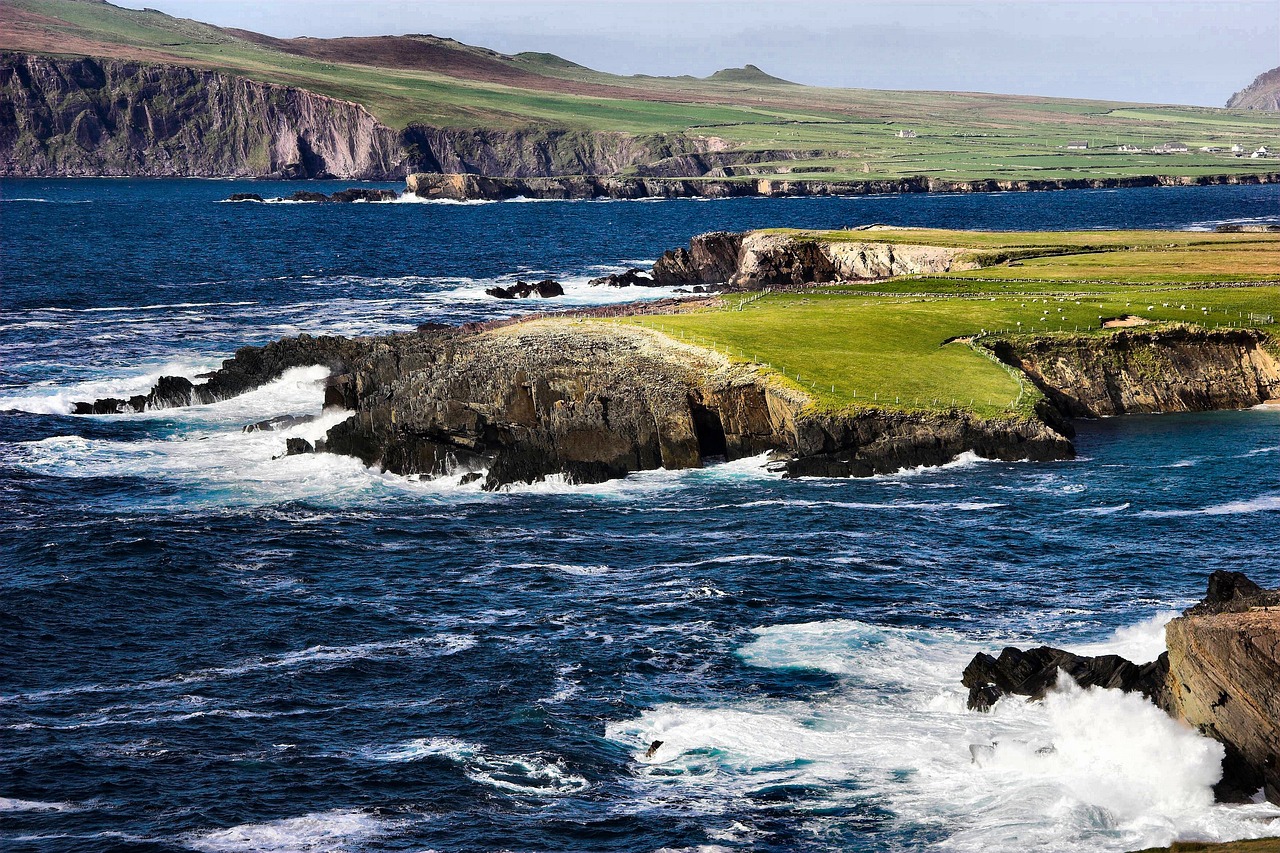 Irish wildlife act