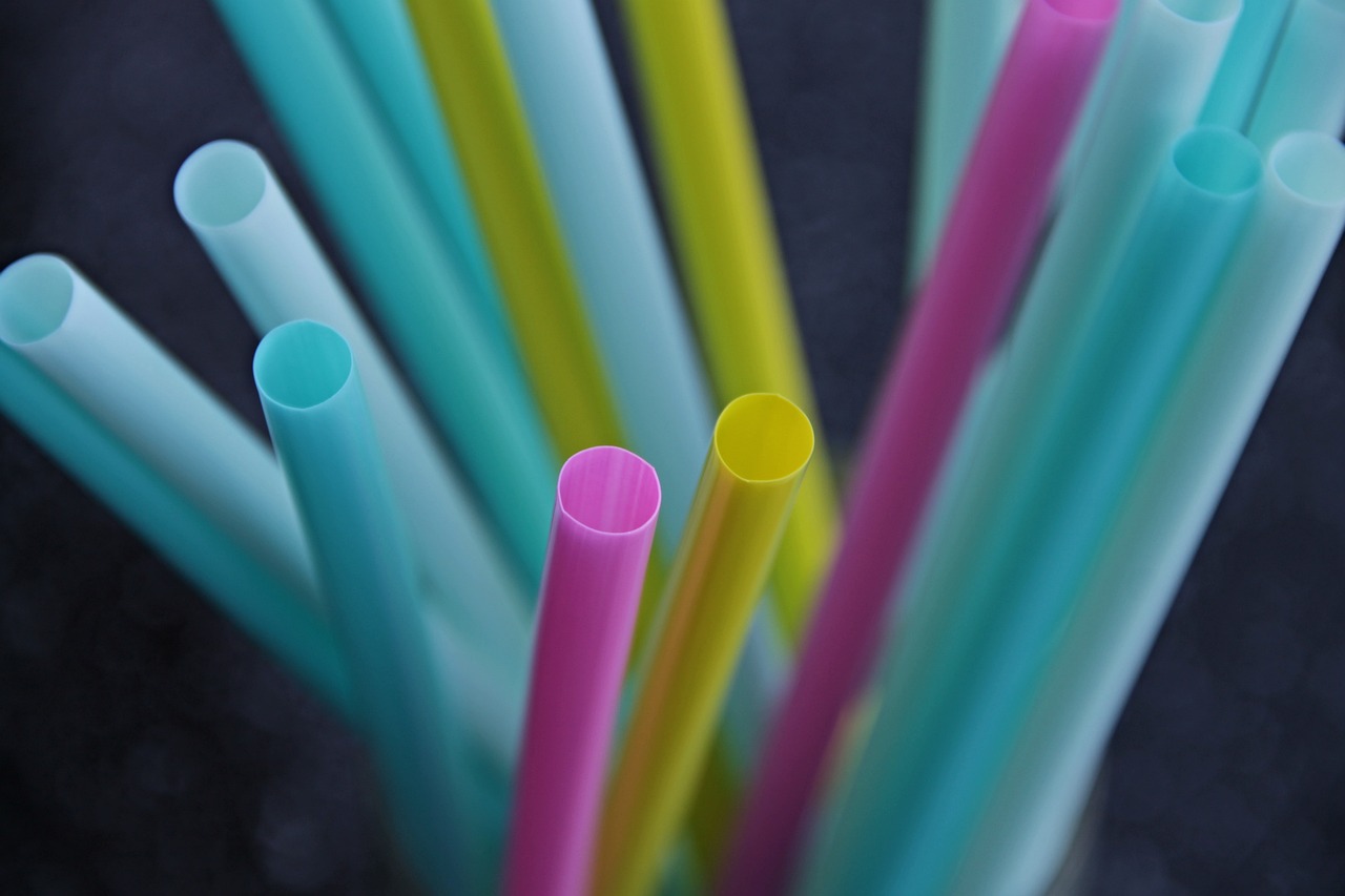 single use plastics